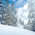 In Neukirchen Near Lifts * Wald im Pinzgau