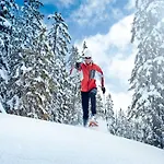 In Neukirchen Near Lifts *