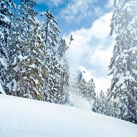 In Neukirchen Near Lifts * Wald im Pinzgau