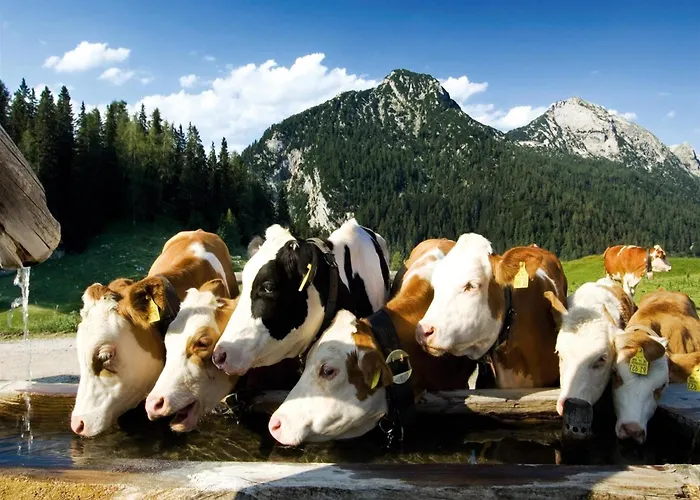 In Neukirchen Near Lifts Appartement