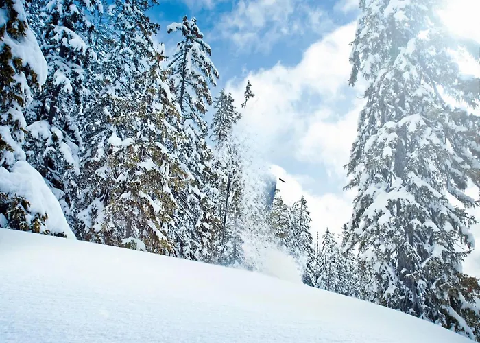 In Neukirchen Near Lifts * Wald im Pinzgau