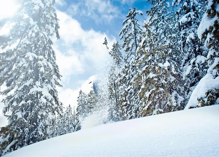 In Neukirchen Near Lifts